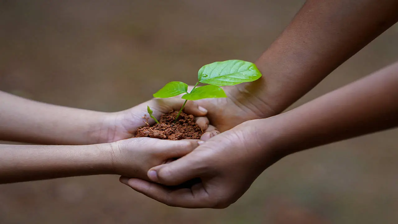 Comprometidos con la calidad y el medio ambiente